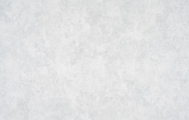 Անտառ 2 1337-13