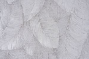 Լինդա 2 264 6404
