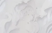 Սլիվկի 2404-06