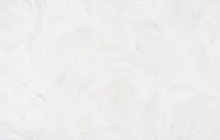 Զիգզագ 8774-10