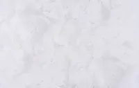 Փայլել 1594-05