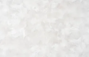 Էտերնետի 2 1607