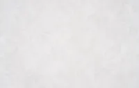 Դելիցիա-2 1639-07