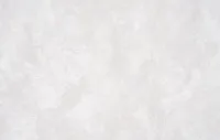 Դելիցիա-2 1639-02