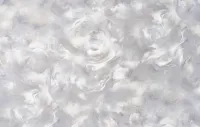 Էտերնետի 2 1607-10
