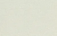 Բալի 2 8680-04