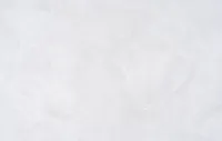 Տոտեմ 2 1613-05