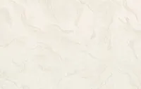 Բարսելոնա 2 8697-05