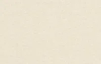 Բալի 2 8680-05