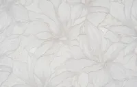 Ջոաննա 8786-09