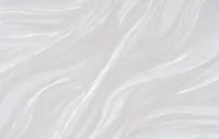 Շուշան 2 2396-01