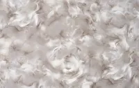 Էտերնետի 2 1607-05