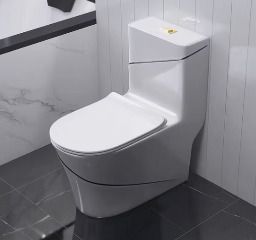 Զուգարանակոնք OTQP660H