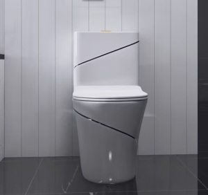 Զուգարանակոնք OTQP660H